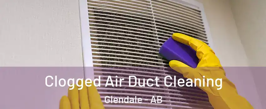  Clogged Air Duct Cleaning Glendale - AB