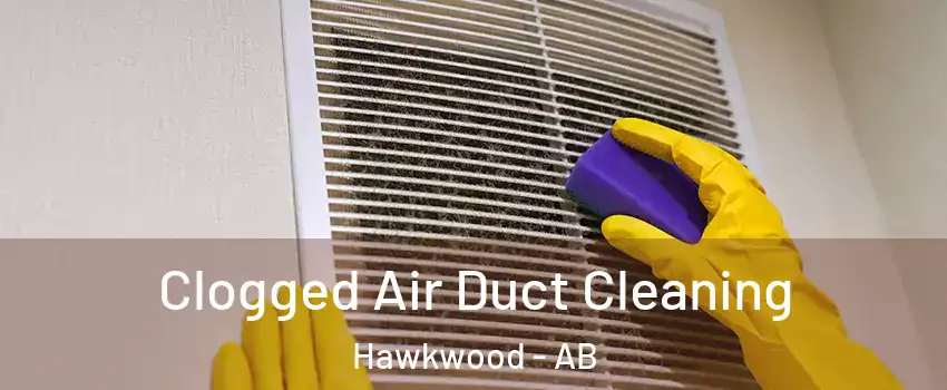 Clogged Air Duct Cleaning Hawkwood - AB