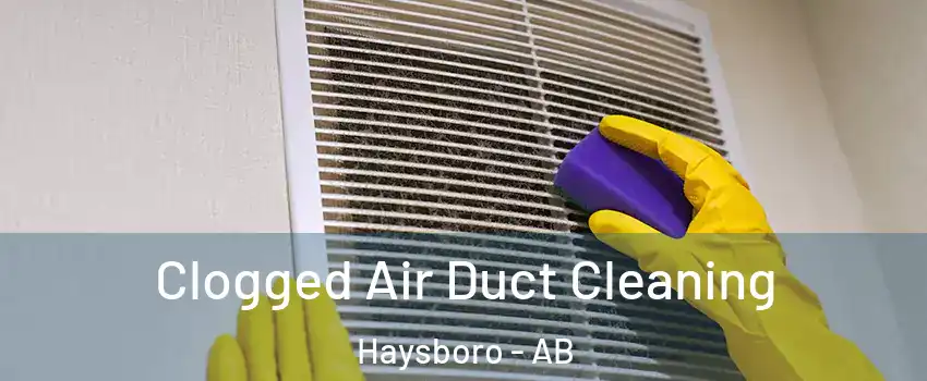  Clogged Air Duct Cleaning Haysboro - AB