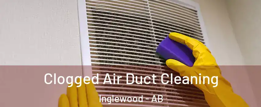  Clogged Air Duct Cleaning Inglewood - AB