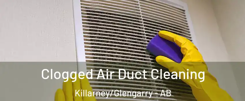  Clogged Air Duct Cleaning Killarney/Glengarry - AB