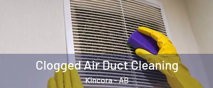  Clogged Air Duct Cleaning Kincora - AB