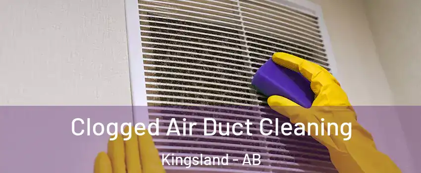  Clogged Air Duct Cleaning Kingsland - AB
