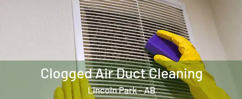  Clogged Air Duct Cleaning Lincoln Park - AB