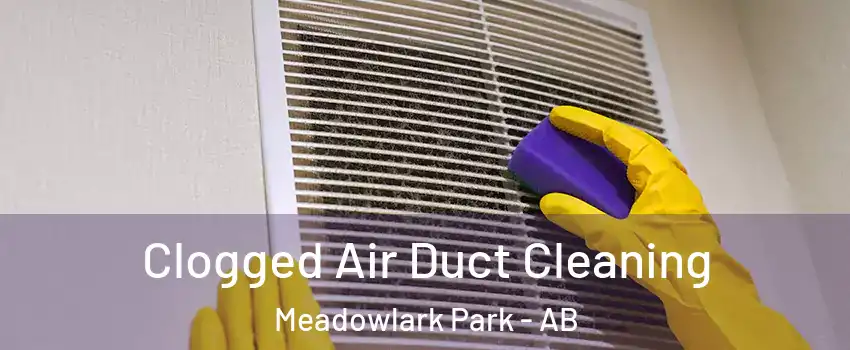  Clogged Air Duct Cleaning Meadowlark Park - AB
