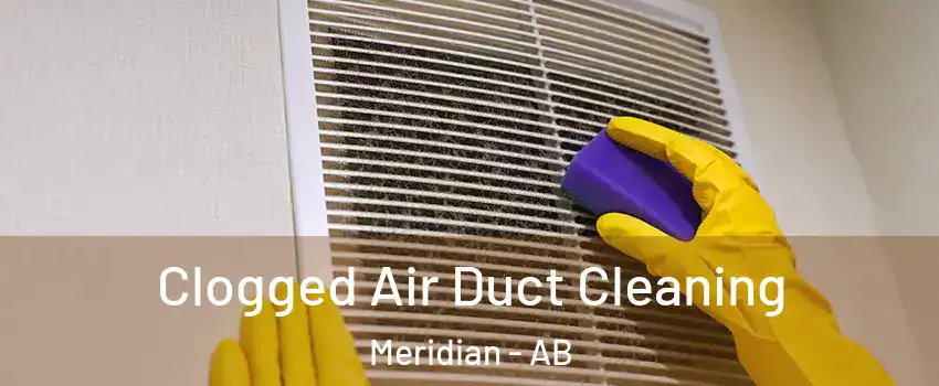  Clogged Air Duct Cleaning Meridian - AB