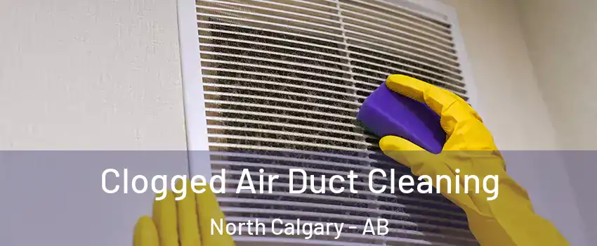  Clogged Air Duct Cleaning North Calgary - AB