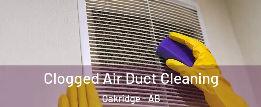  Clogged Air Duct Cleaning Oakridge - AB