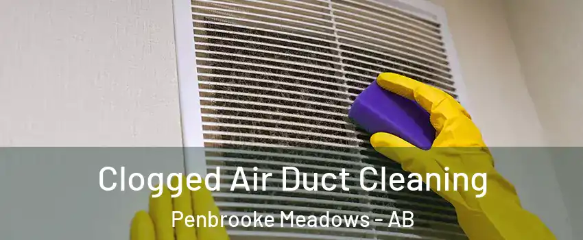  Clogged Air Duct Cleaning Penbrooke Meadows - AB