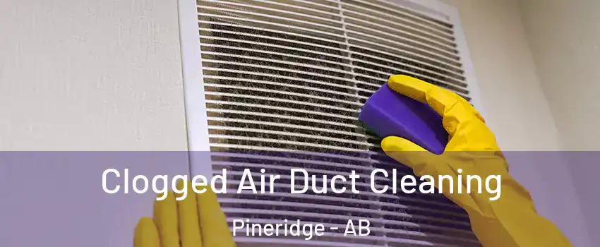  Clogged Air Duct Cleaning Pineridge - AB