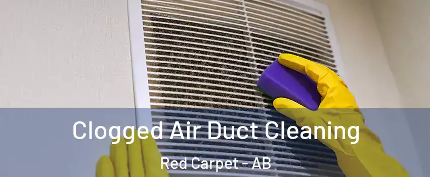  Clogged Air Duct Cleaning Red Carpet - AB
