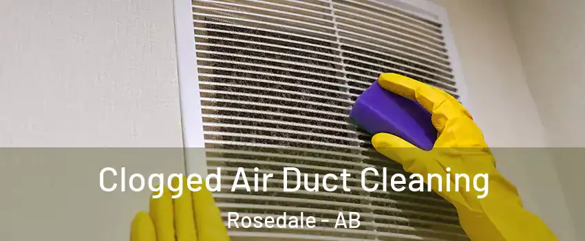  Clogged Air Duct Cleaning Rosedale - AB