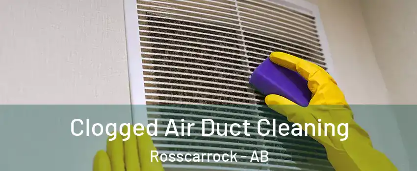  Clogged Air Duct Cleaning Rosscarrock - AB