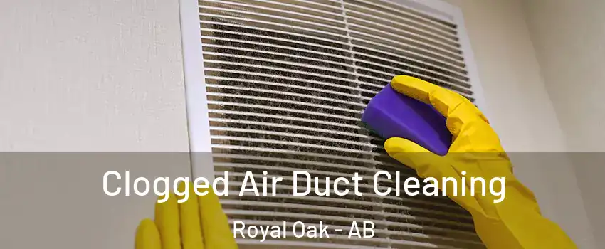  Clogged Air Duct Cleaning Royal Oak - AB
