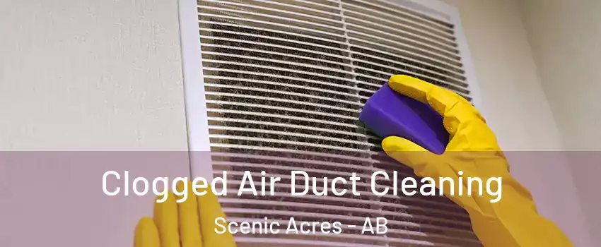  Clogged Air Duct Cleaning Scenic Acres - AB
