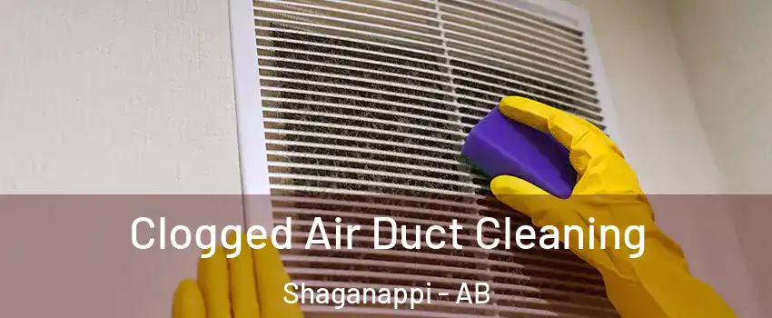  Clogged Air Duct Cleaning Shaganappi - AB