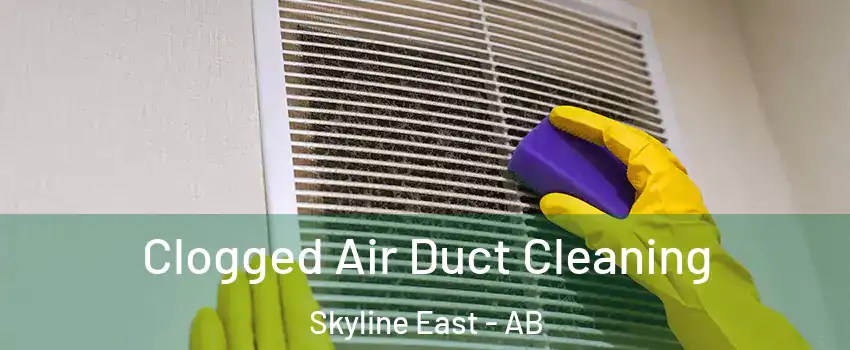  Clogged Air Duct Cleaning Skyline East - AB