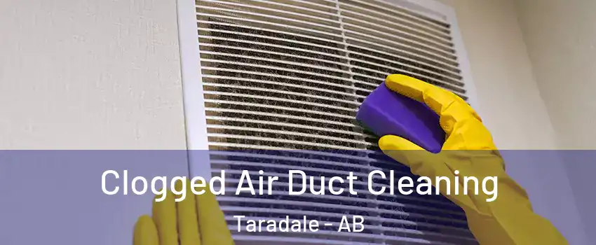  Clogged Air Duct Cleaning Taradale - AB