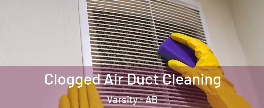  Clogged Air Duct Cleaning Varsity - AB