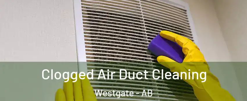  Clogged Air Duct Cleaning Westgate - AB