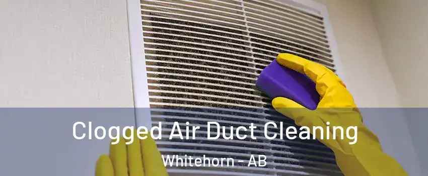  Clogged Air Duct Cleaning Whitehorn - AB