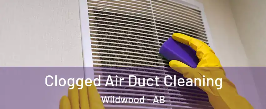  Clogged Air Duct Cleaning Wildwood - AB