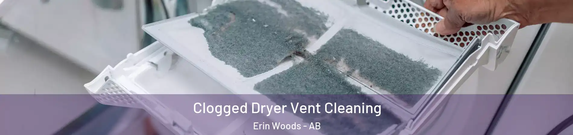  Clogged Dryer Vent Cleaning Erin Woods - AB