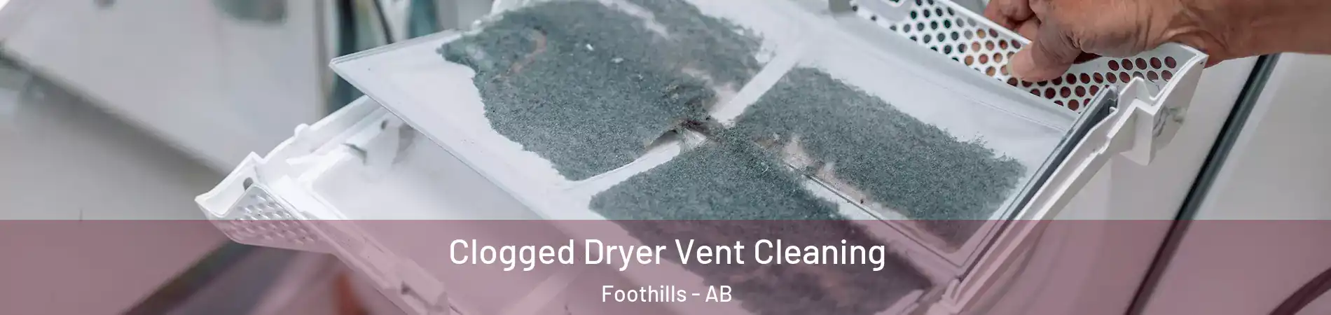  Clogged Dryer Vent Cleaning Foothills - AB