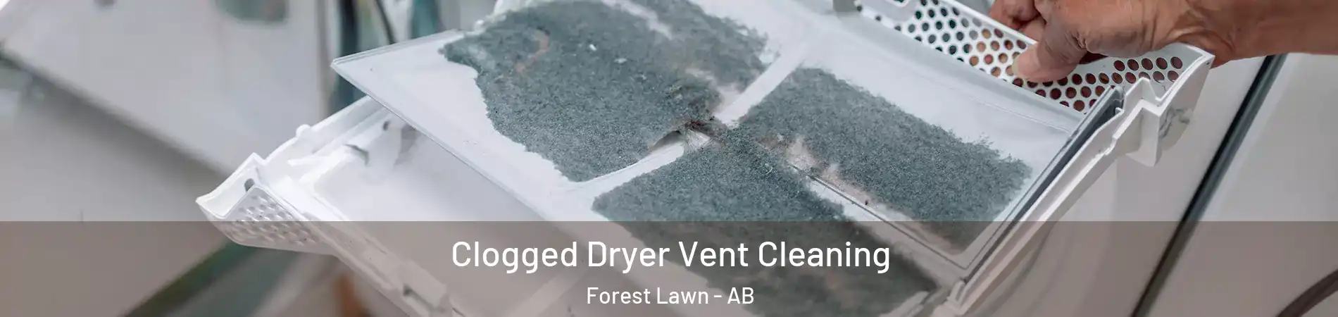  Clogged Dryer Vent Cleaning Forest Lawn - AB