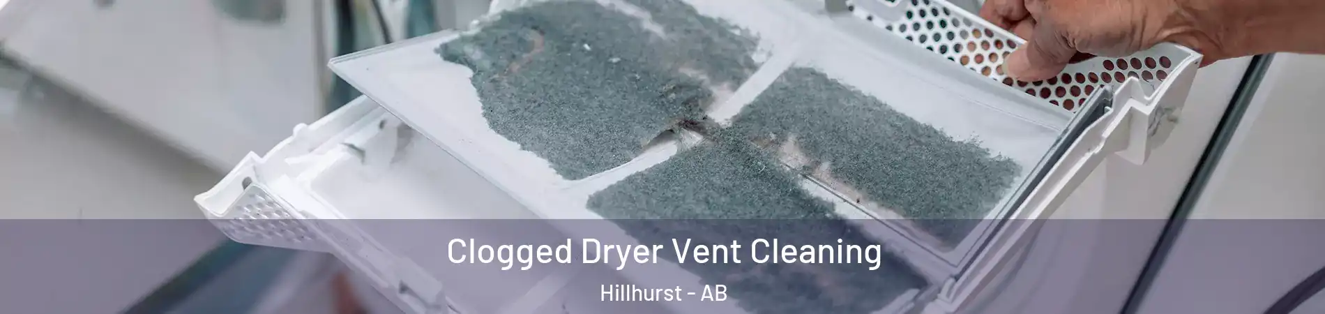  Clogged Dryer Vent Cleaning Hillhurst - AB