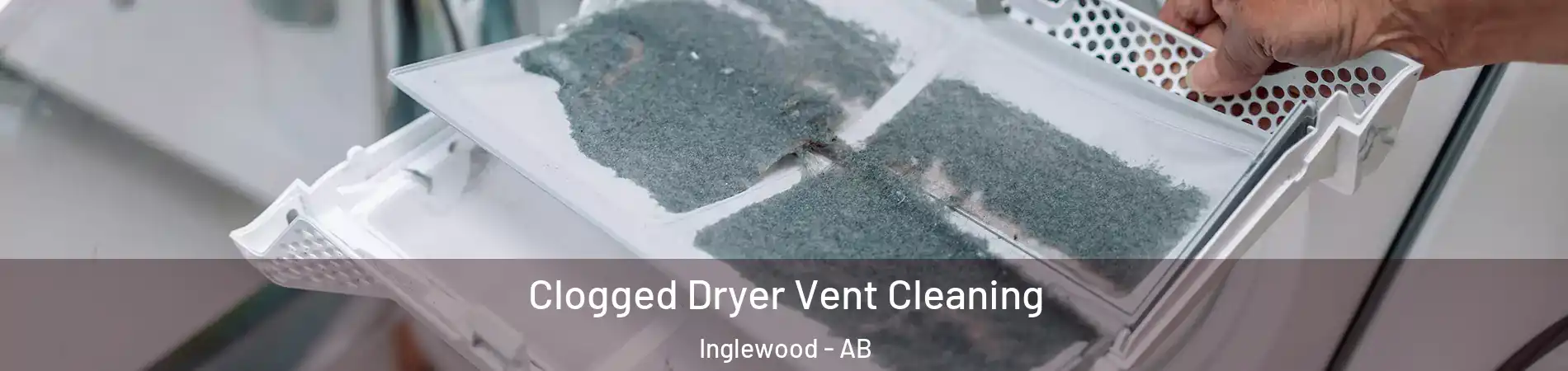  Clogged Dryer Vent Cleaning Inglewood - AB