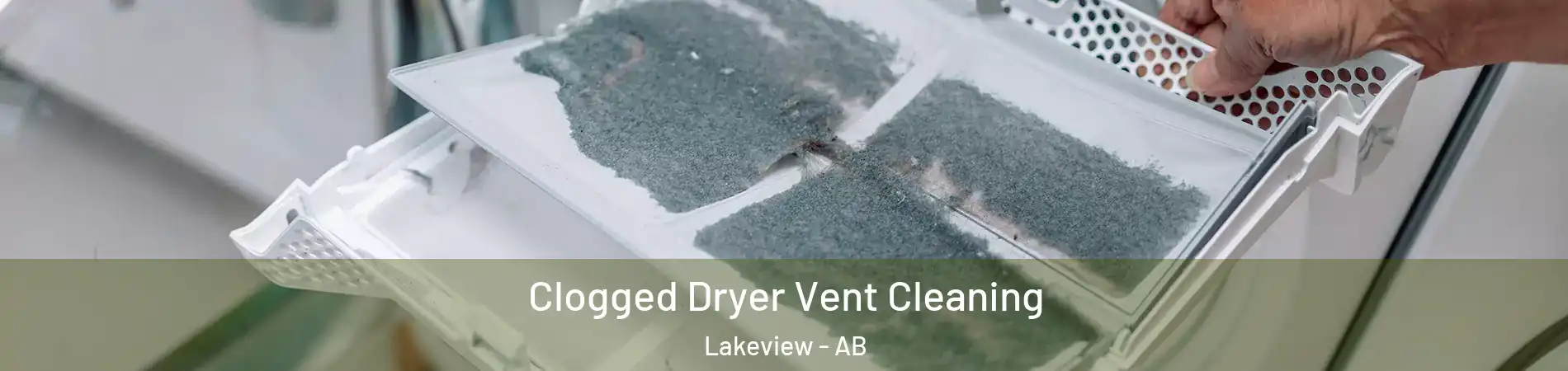  Clogged Dryer Vent Cleaning Lakeview - AB