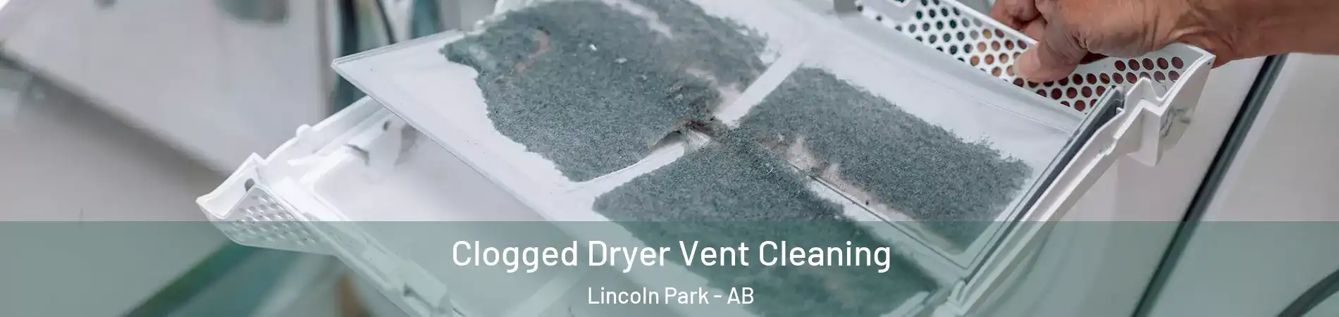  Clogged Dryer Vent Cleaning Lincoln Park - AB