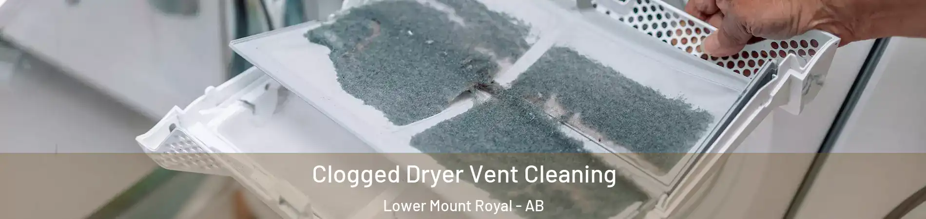  Clogged Dryer Vent Cleaning Lower Mount Royal - AB