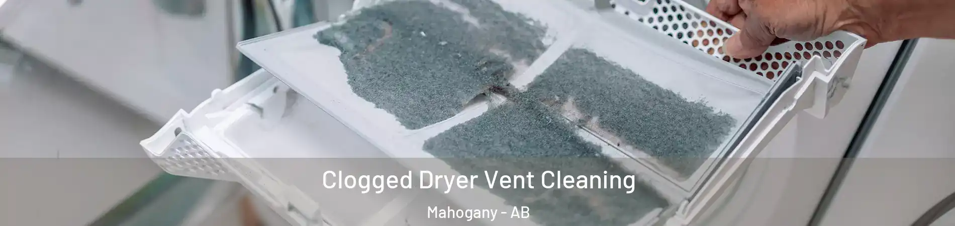  Clogged Dryer Vent Cleaning Mahogany - AB