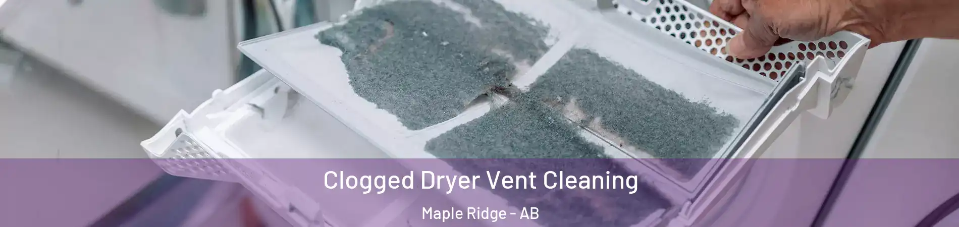  Clogged Dryer Vent Cleaning Maple Ridge - AB