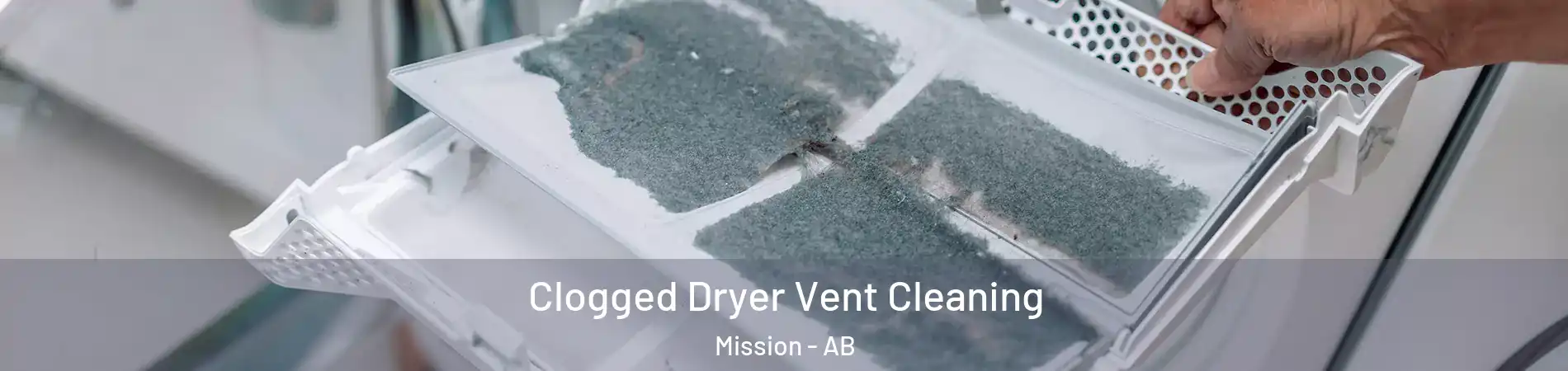  Clogged Dryer Vent Cleaning Mission - AB