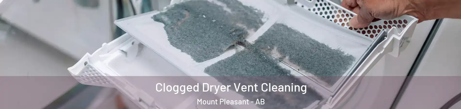  Clogged Dryer Vent Cleaning Mount Pleasant - AB