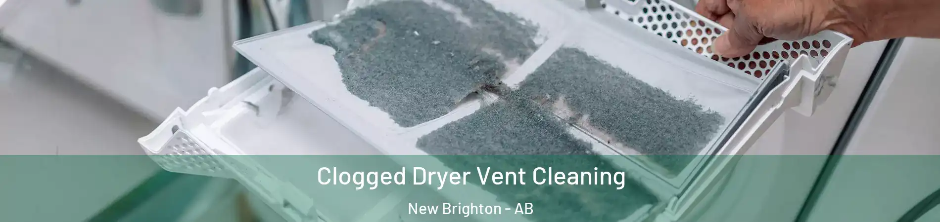  Clogged Dryer Vent Cleaning New Brighton - AB