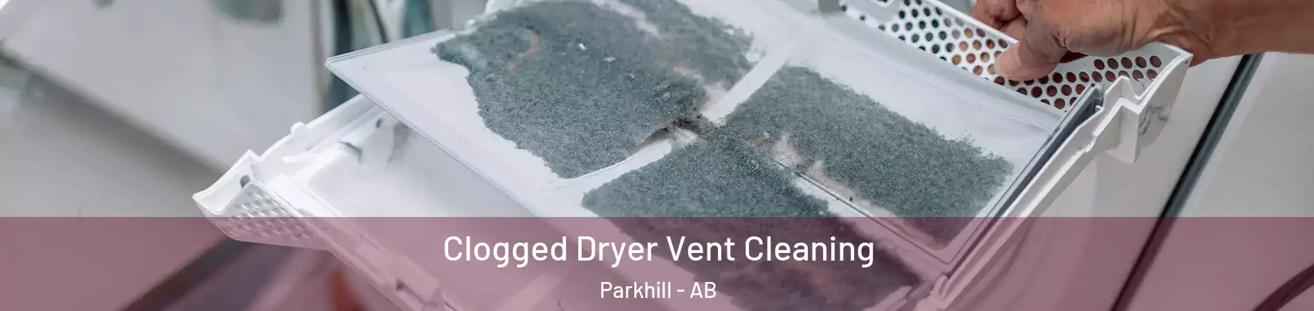  Clogged Dryer Vent Cleaning Parkhill - AB