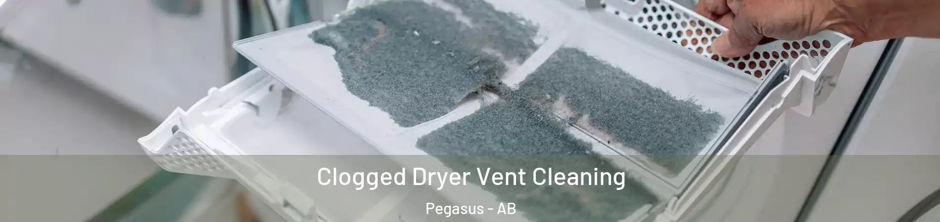  Clogged Dryer Vent Cleaning Pegasus - AB
