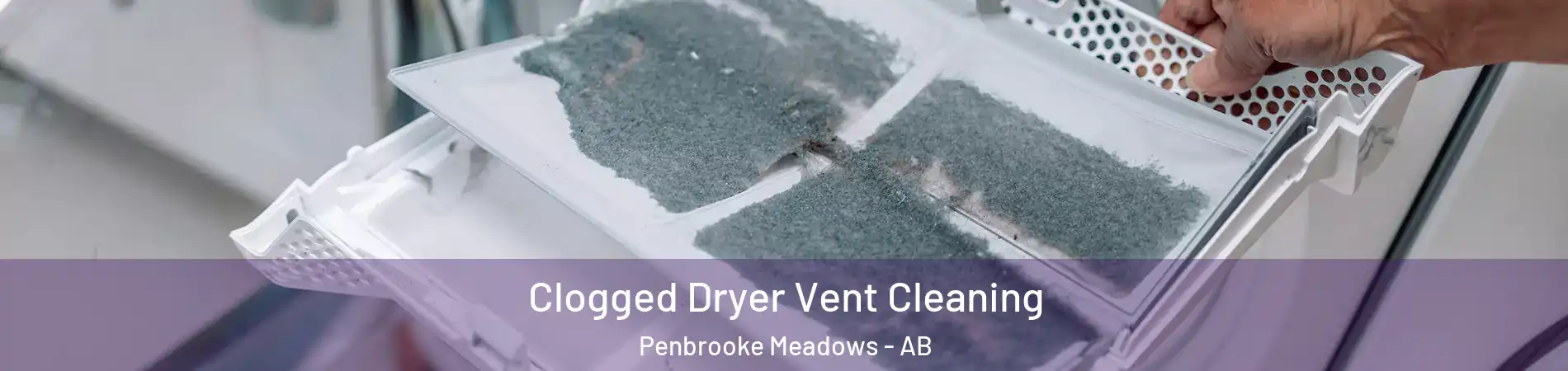  Clogged Dryer Vent Cleaning Penbrooke Meadows - AB