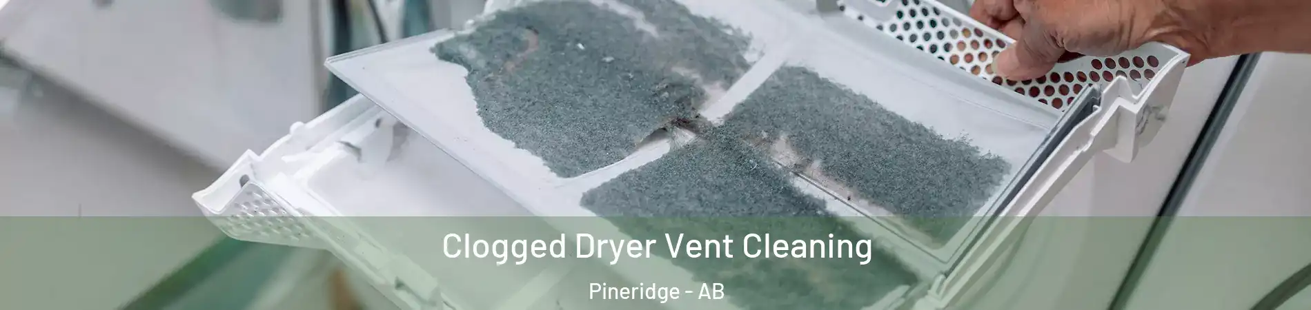  Clogged Dryer Vent Cleaning Pineridge - AB
