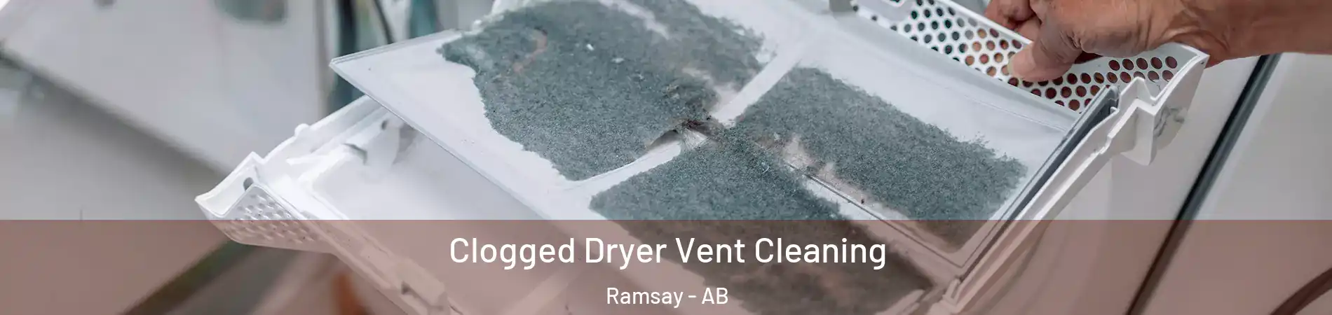  Clogged Dryer Vent Cleaning Ramsay - AB