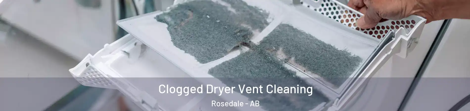  Clogged Dryer Vent Cleaning Rosedale - AB