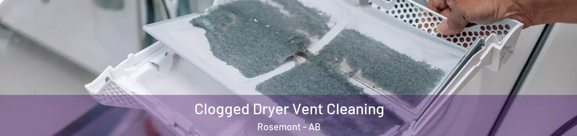  Clogged Dryer Vent Cleaning Rosemont - AB