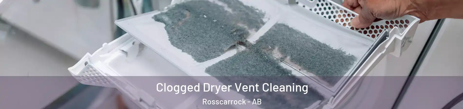  Clogged Dryer Vent Cleaning Rosscarrock - AB