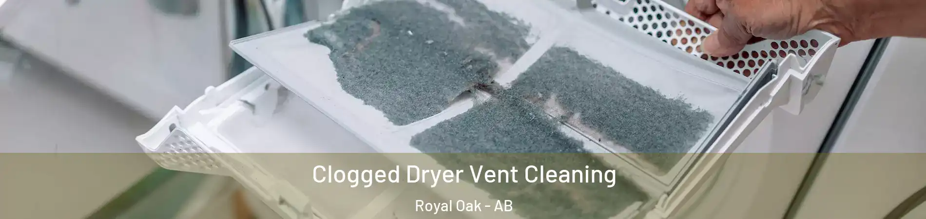  Clogged Dryer Vent Cleaning Royal Oak - AB