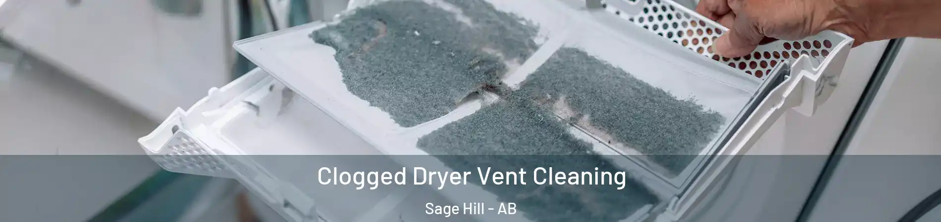  Clogged Dryer Vent Cleaning Sage Hill - AB