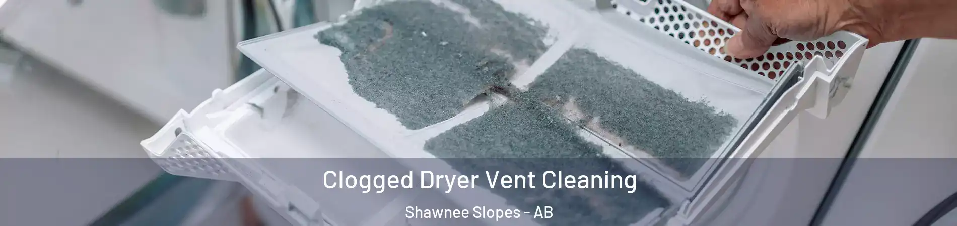  Clogged Dryer Vent Cleaning Shawnee Slopes - AB